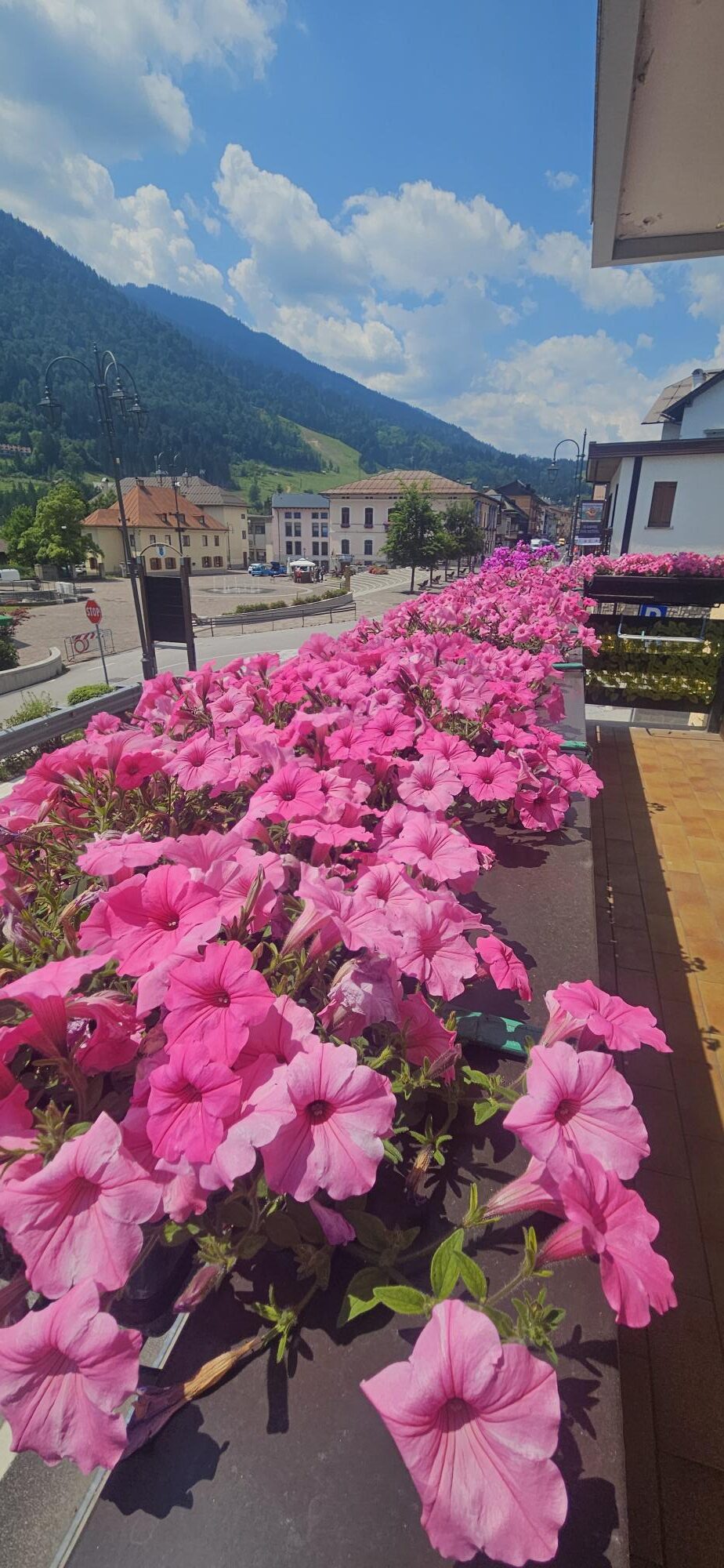 Doni di Bacco Vini – Spirits – Salumi e formaggi – Alimentari